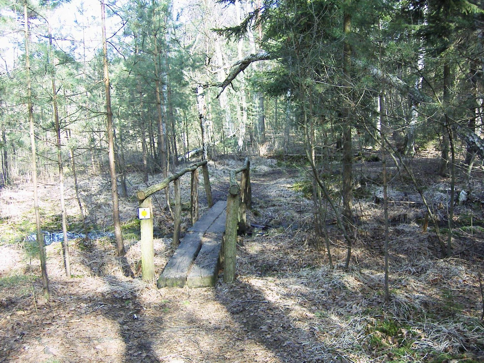 Fewoamglubigsee Wendisch Rietz Exterior photo